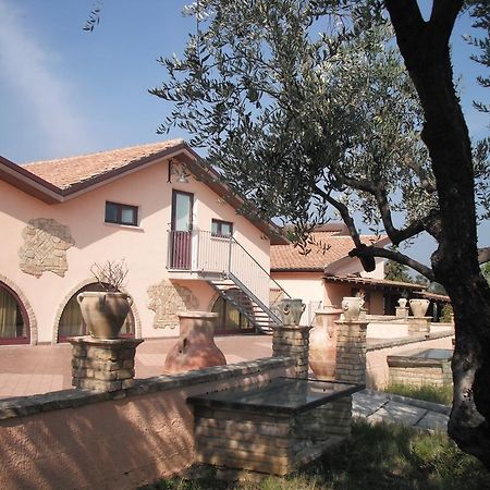 Azienda Vitivinicola Sergio Del Casale Vasto Dış mekan fotoğraf